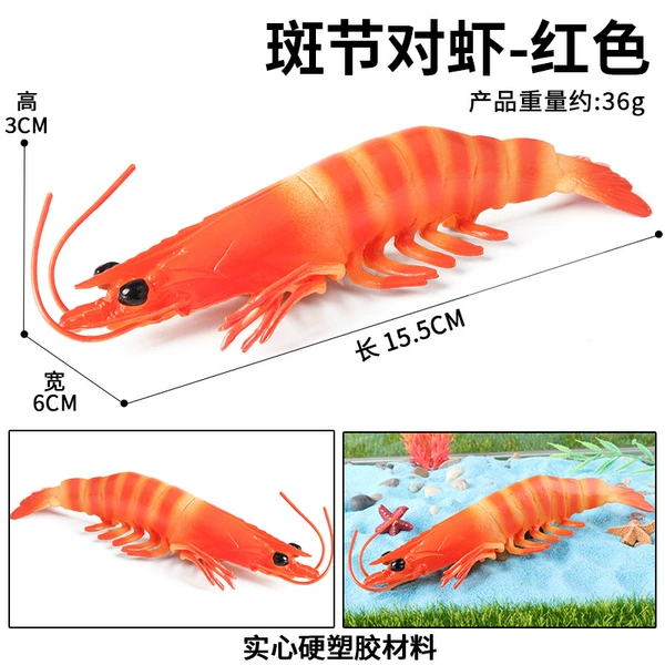 M-3108 Penaeus monodon