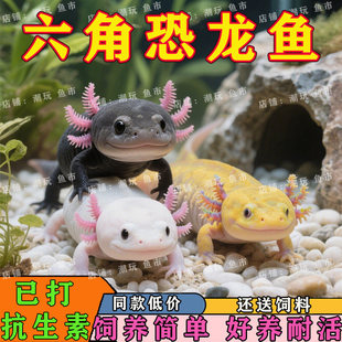 ���ǿ����~��ˮ��ˮ�~�����^�p�~�û����B���w����󢌙��ϔ�С�~