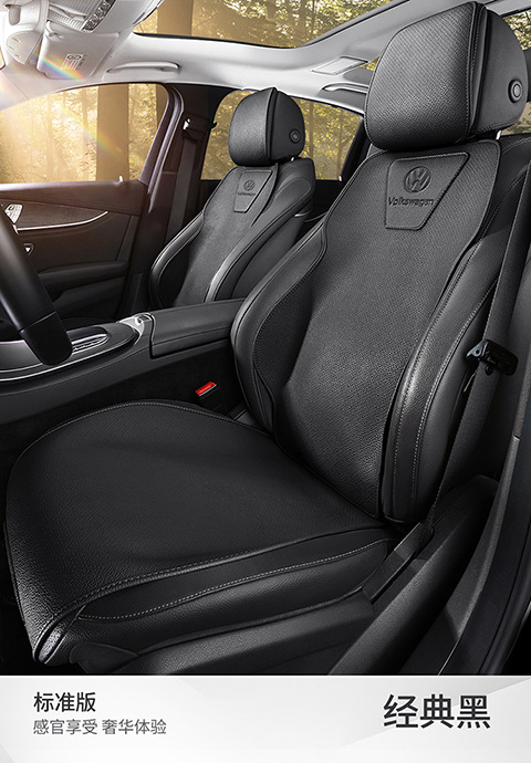 Volkswagen full-line car seat cushion Lavida Sagitar Passat special breathable leather seat cushion four seasons universal seat cover