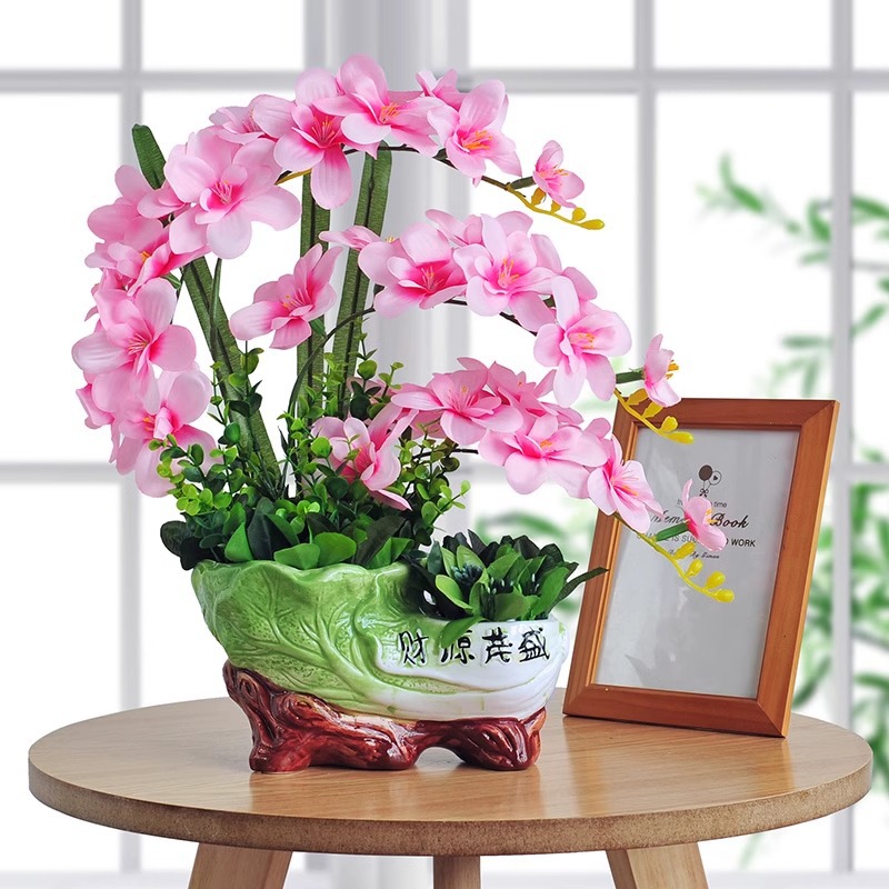 무성한 부 창란 연분홍 분재