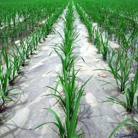 农用薄膜;包装薄膜;其他塑料薄膜