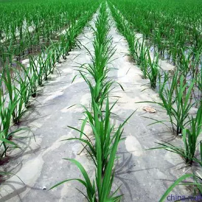 厂家供应聚乙烯pe农用地膜黑地膜大棚膜黑白膜防护超薄保湿塑料布