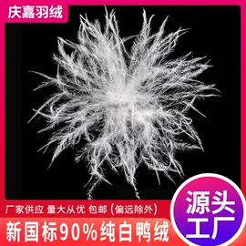 羽毛、羽绒;羽绒被