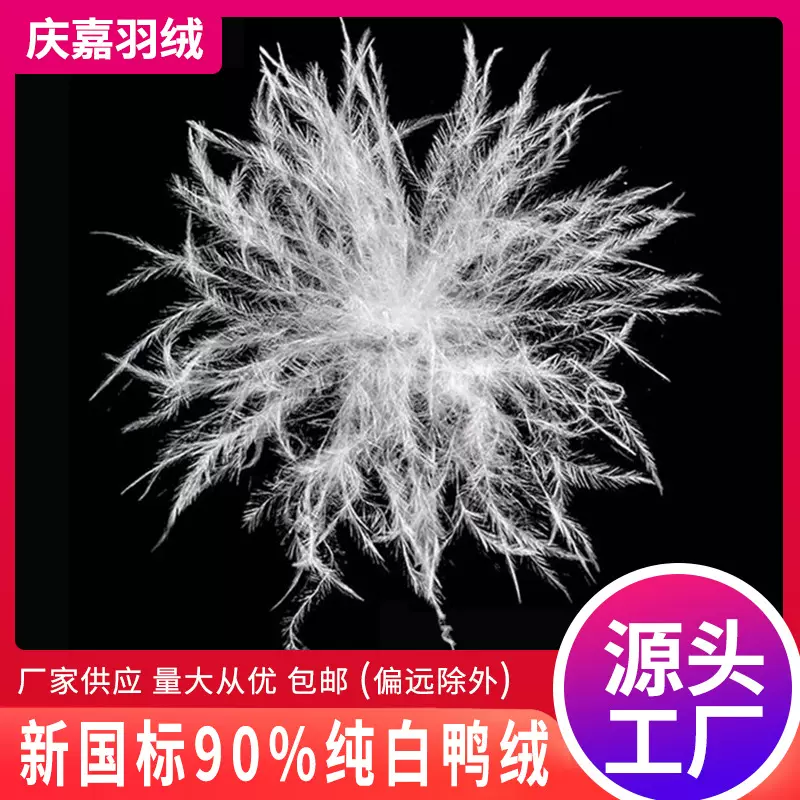 国标90纯白鸭绒 厂家供应羽绒批发纯白大朵白鸭过广检90纯白羽绒