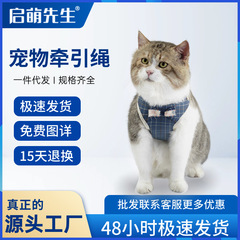 猫の牽引紐の子猫が猫のひもを散歩します。