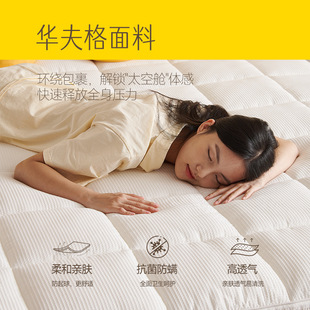Wz Yuanyang Semi-Soft and Semi-Hard Mattress with Adjustable Sleeping Feel, Split Simmons Soft and Hard Dual-Use Foldable Bed
