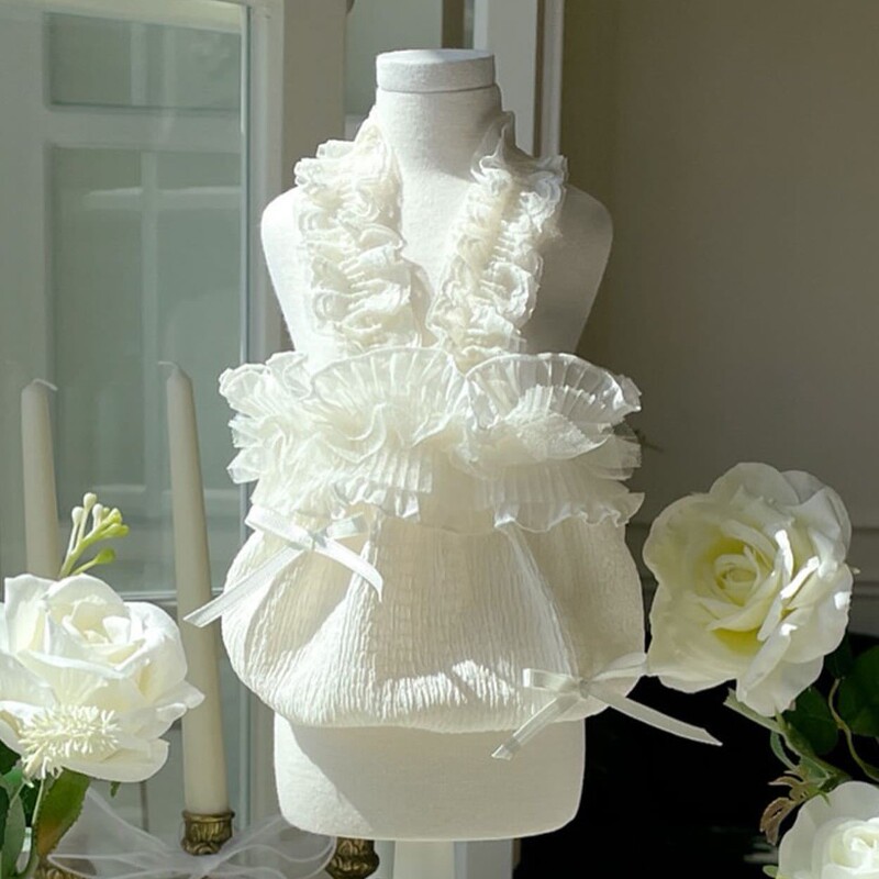 Spring and Summer New Dogs and Cats Lace Sling Skirt Teddy Bomei VIP Bixie Pet Clothes