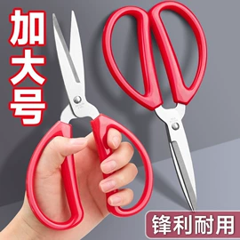 清洁球/刷;衣钩/挂钩;厨房小工具