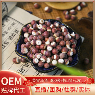 �͌���ș�����l���l250��/������圫���w�낀�͌��tƤ�͌�