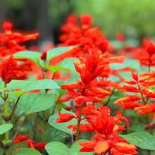 �ļ����Nһ���t�N���̨����ͥԺ�G�����^�������̻��ܷN��