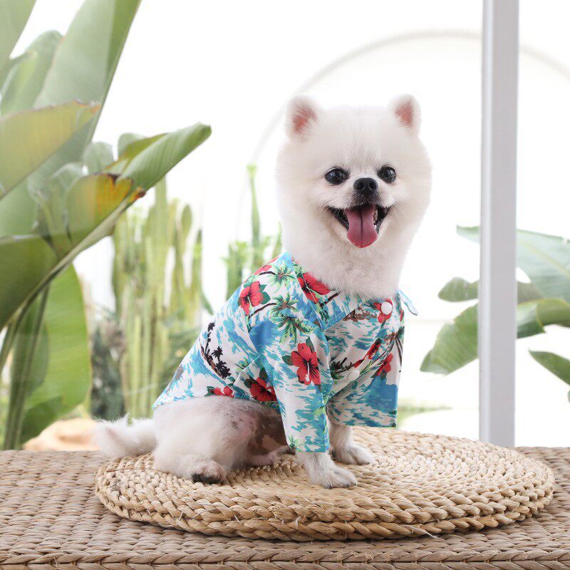봄여름 얇은 강아지 고양이 셔츠 파인애플 야자수 비치 반려동물 옷 XS~5XL
