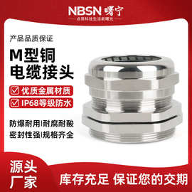 金属电缆防水接头m20黄铜镀镍格兰头双头电线密封船用连接填料函