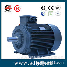 YE3��CGX��ϵ�г���Ч�������첽�綯��GB28575-2020