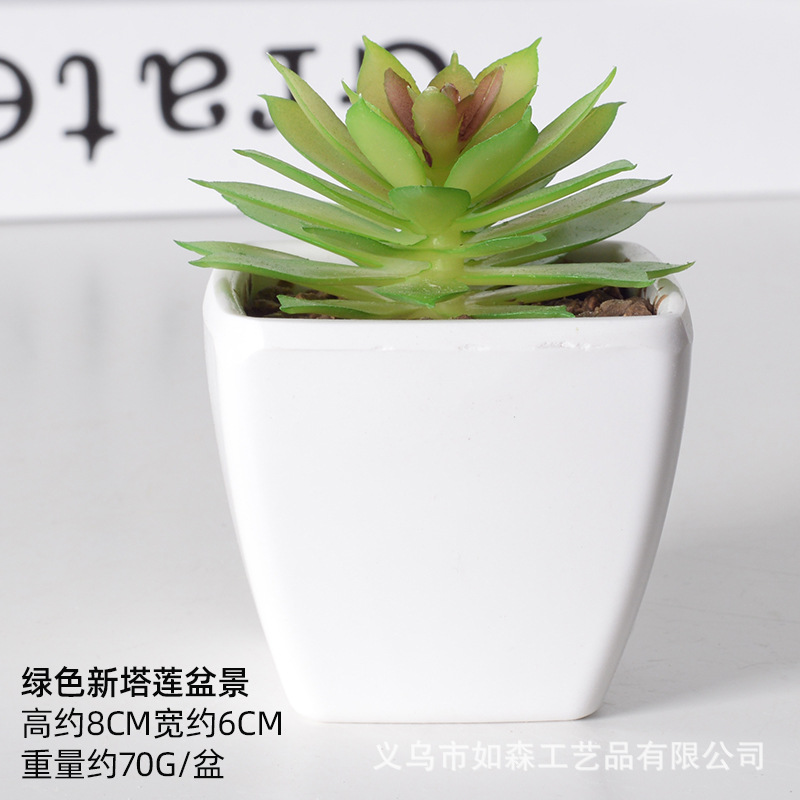 Simulación de plástico carnoso bonsai flor falsa combinación oficina interior escritorio plantas verdes pequeños adornos plantas artificiales al por mayor image 40