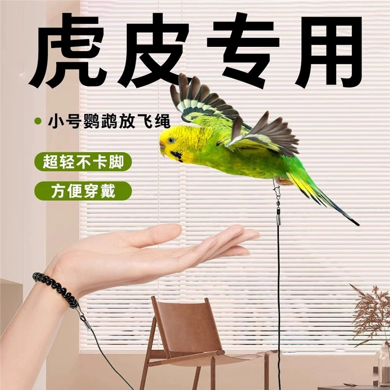 Сверхлегкий летающий канат для попугая не повредит браслет из тигровой кожи, тренировка для ходьбы птицы, черный феникс, шариковый попугай, тяговый кожаный чехол для уличного браслета