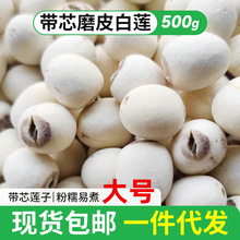 【湘潭莲子】带芯磨皮白莲500g白莲带芯莲干货批发新货粉糯大颗粒