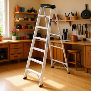 ����/WERNER ���I�� 7̤�� �X�Ͻ��΂�������377CN