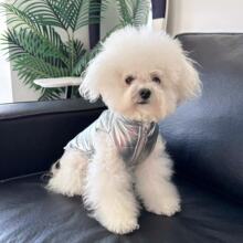 ��ϴ�޷�؈���ﶬ�������·����bС��Ȯ�������\�¿����¶��챣ů