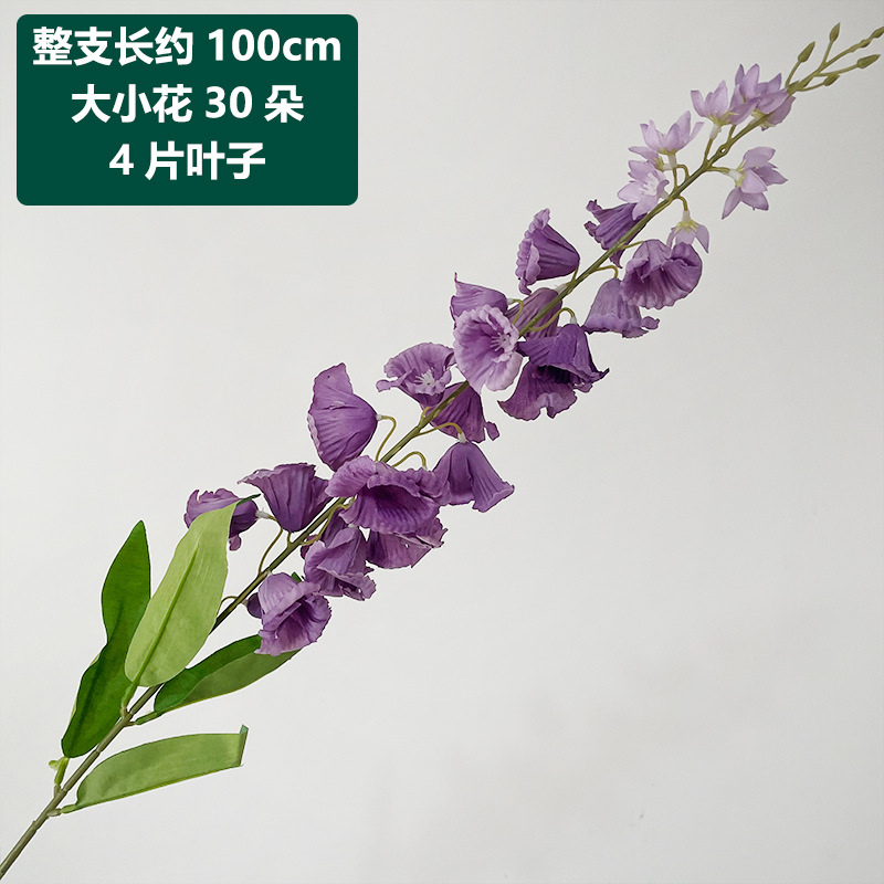 Purple long-branch lily of the valley