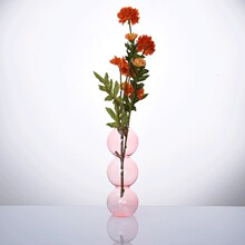 �羳���l�Ǻ��J���ݲ���ƿ���W����[���廨ƿ��ˮ��廨���β���