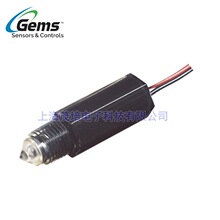 GEMS����ELS-1100-143580���Һλ����P/N143575,PN143585,143590
