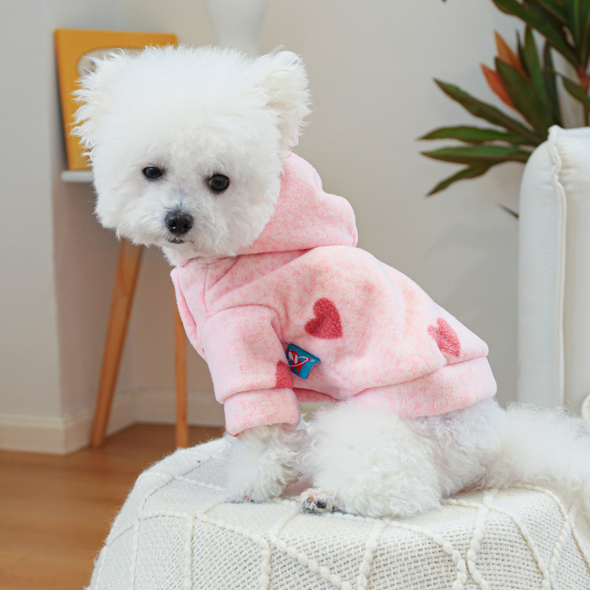 PETCIRCLE sällskapsdjur cirkel husdjur kläder hund och katt kläder söt prinsessa rosa hjärta sweatshirt
