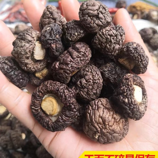 ���X���o������ľ���鹽�������������㹽��؛���l�r���خa���l