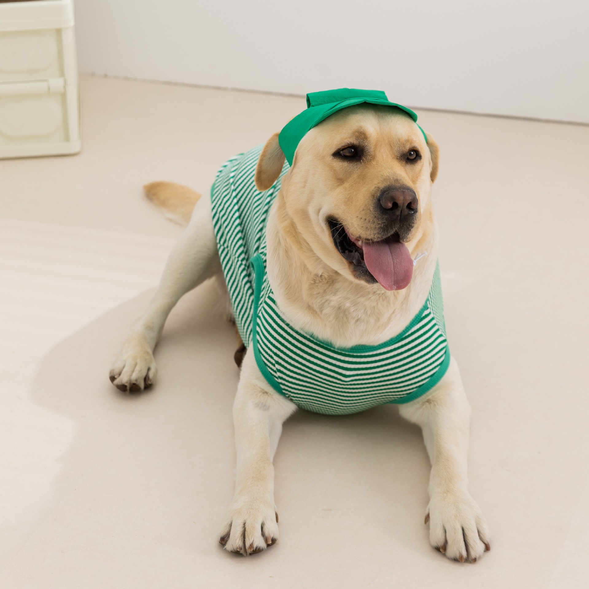 Ropa para perros grandes de estilo sencillo, sin mangas, con capucha, a rayas verdes, fina, para primavera y verano, transfronteriza.