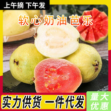 ���r�Fժ���ͰŘ����ļt�ķ�ʯ���������Ǒ���ˮ������ܛŴ���l