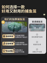 虾笼鱼网捕鱼笼自动折叠抓黄鳝笼捕虾网工具渔具鱼笼龙虾网笼