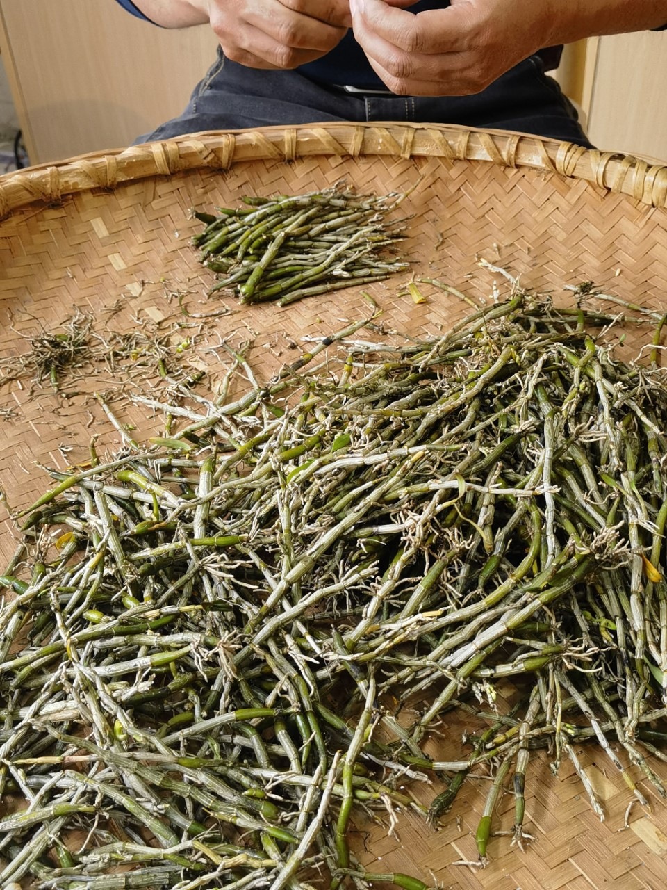 Huoshan Dendrobium Fresh Stems Mi Hu 10g+ Huoshan Shihu Freshly Picked specifications