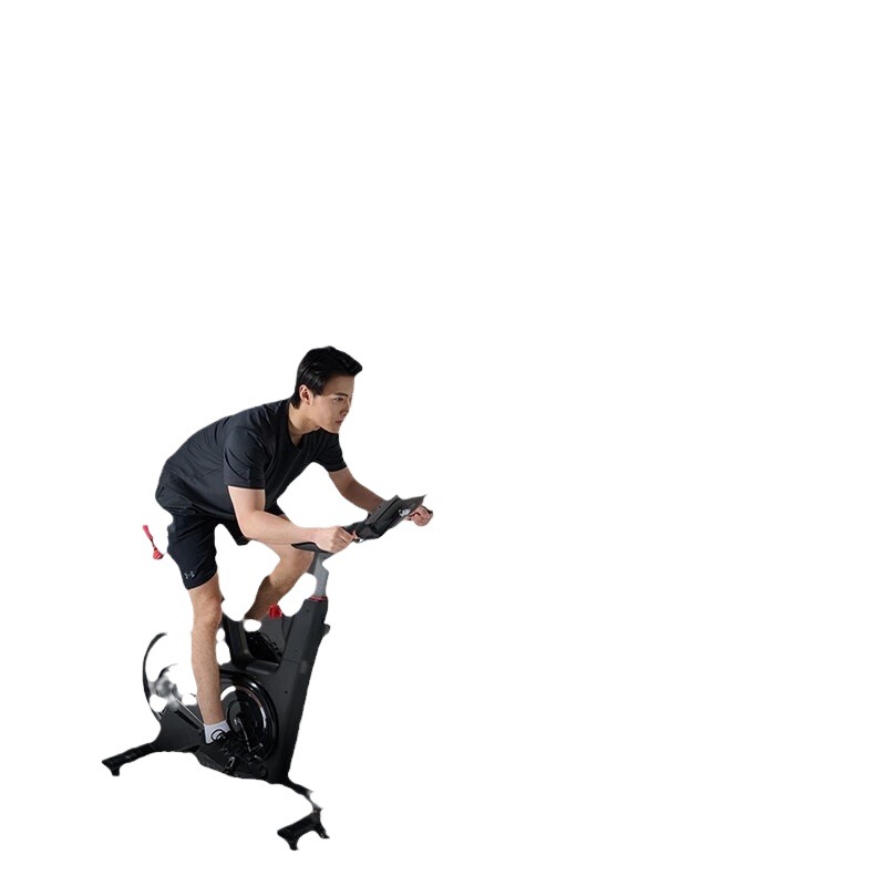 Electric dynamic professional bike for car