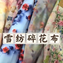 �й���С����ѩ�Ĳ����ļ���ʽ����ӡ���黨����ȹȹ�ӷ�װ����