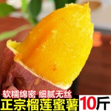 ��������S����ɏ������ɯ�򮔼����r10��ɳ�������عϷ������t��