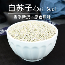 ��������ҩ�ľ�����Ʒҩ�ð�������ʳ�ó��������������ӷ�