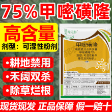 75%���׻�¡���݄��Ǹ��ؚ������������Բݺ���p����������ș��