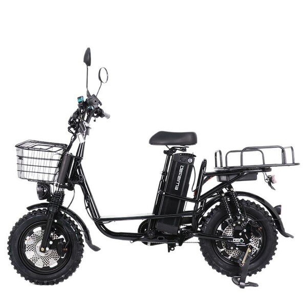 E-bike snow beach off-road fat tire electric bicycle takeout express…