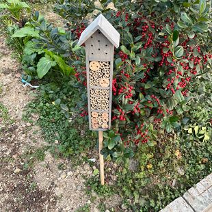 Foreign Trade Tailstock with Column Bee House Insect Hotel Nature Education Teaching Aids Courtyard Garden Decorations Wooden