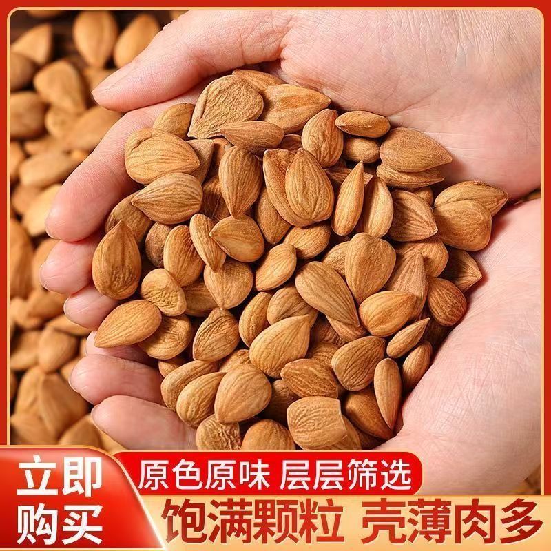 Roasted Sweet Almonds Xing Ren 100g Snack Pack Natural Dried Almond Kernels for Daily Snacking quality and texture