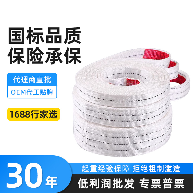 国标吊装带吊车2M5米8米起重扁平叉车吊带2T3T5吨工业加厚布吊绳