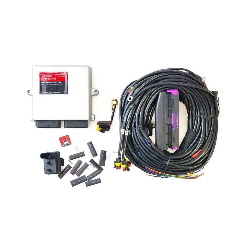 Lpg/Cng Car Oil to Gas D06 6 Cylinder Engine Control Unit Kit Ecu Gas Car Accessories