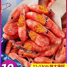 北极虾新鲜甜虾刺身冰虾超大虾带籽头籽腹籽北极熊海鲜水产鲜活A3
