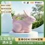 儿童大容量定制跨境浇花壶