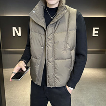 FW11155 2025�����¿�Ӣ�׵���������Ѽ�����������мӺ�����