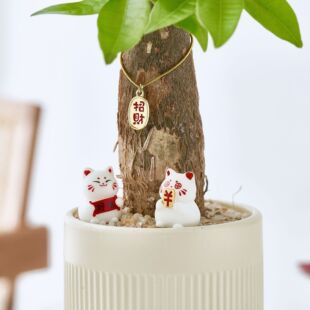 �lؔ�䄓�����ԾGֲ�[��Ȥζ�҃�����ֲ�ﻨ���k���ҹ��Sֱ�N���]