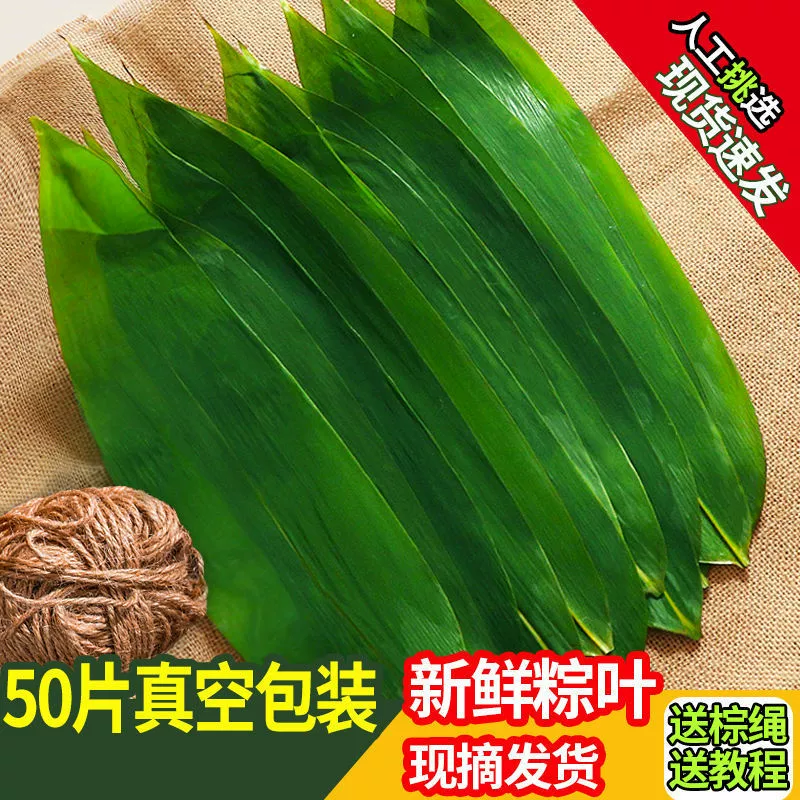 Свежие вакуумно упакованные большие бамбуковые листья для приготовления рисовых пельменей, широкие бамбуковые листья в фермерском стиле для коммерческого использования, упаковка 100 штук.