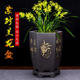 兰花盆大号六方盆景陶瓷盆室内君子兰透气紫砂盆批发
