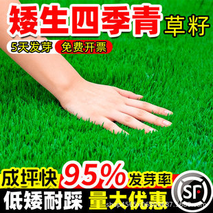 �����ļ���������l�첥�ͺ����ļ������Ͳ�̤С�^���̾G���N��