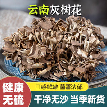 姜研同款干巴菌云南特产野生干巴菌味灰树花无泥沙精选山货灰树花