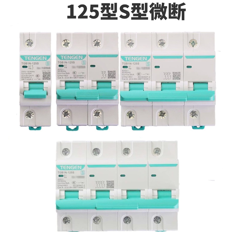 天正电气TGB1N-125S型 空气开关 家用 小型断路器短路过载保护C型